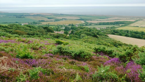 A view of the extensive Mottistone estate from the vantage point of Mottistone Common